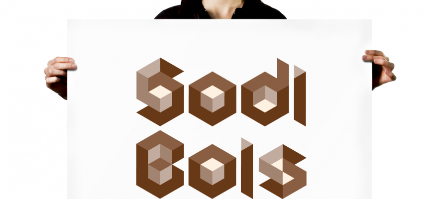 logo de sodi bois