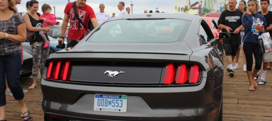 La Ford Mustang s’expose