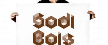 logo de sodi bois