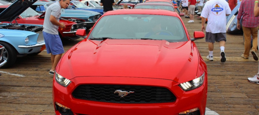 La Ford Mustang s’expose
